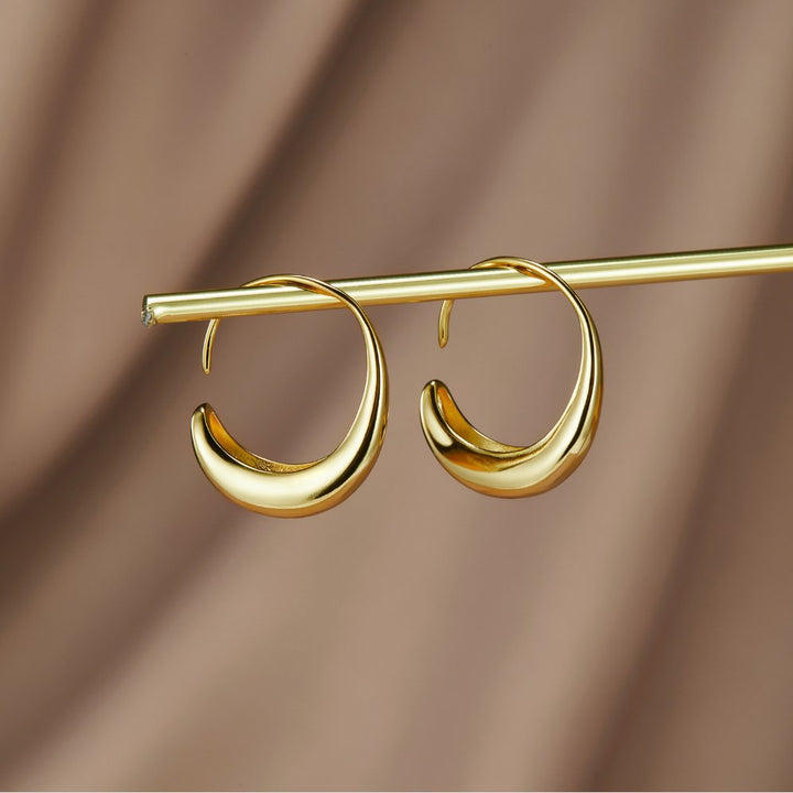 Cina Drop Hoop Earrings